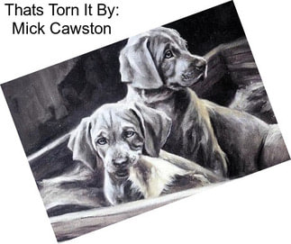 Thats Torn It By: Mick Cawston