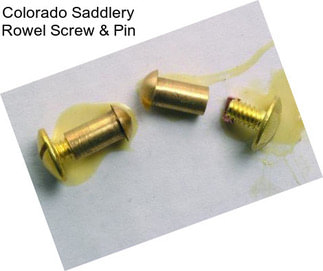 Colorado Saddlery Rowel Screw & Pin