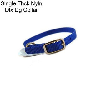 Single Thck Nyln Dlx Dg Collar