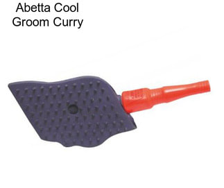 Abetta Cool Groom Curry