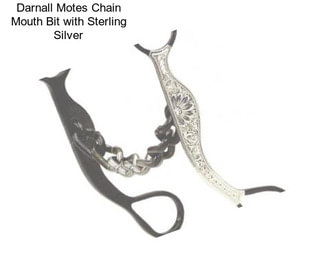 Darnall Motes Chain Mouth Bit with Sterling Silver