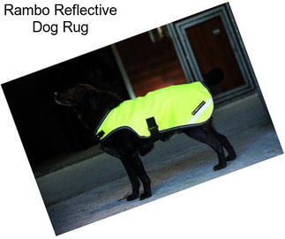 Rambo Reflective Dog Rug