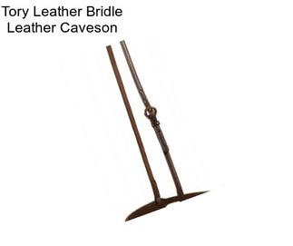 Tory Leather Bridle Leather Caveson