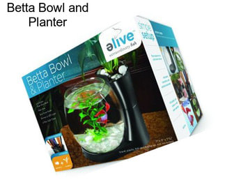 Betta Bowl and Planter