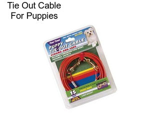 Tie Out Cable For Puppies