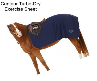 Centaur Turbo-Dry Exercise Sheet