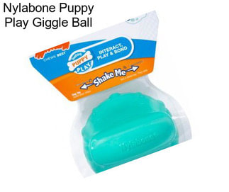 Nylabone Puppy Play Giggle Ball