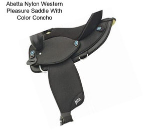 Abetta Nylon Western Pleasure Saddle With Color Concho