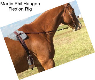 Martin Phil Haugen Flexion Rig