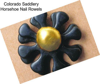 Colorado Saddlery Horsehoe Nail Rowels