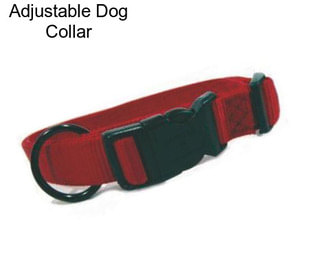 Adjustable Dog Collar