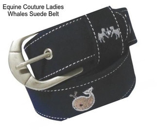 Equine Couture Ladies Whales Suede Belt