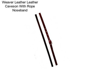 Weaver Leather Leather Caveson With Rope Noseband