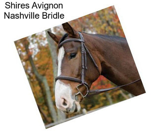 Shires Avignon Nashville Bridle