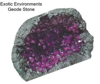 Exotic Environments Geode Stone