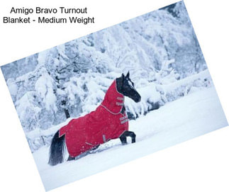 Amigo Bravo Turnout Blanket - Medium Weight