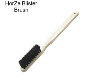 HorZe Blister Brush