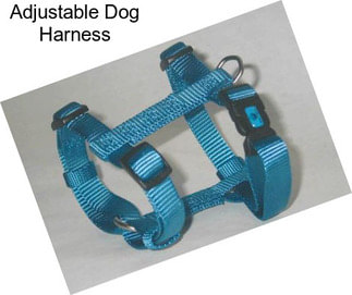 Adjustable Dog Harness