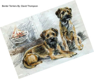 Border Terriers By: David Thompson