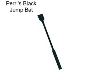 Perri\'s Black Jump Bat