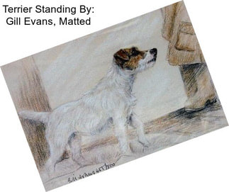 Terrier Standing By: Gill Evans, Matted
