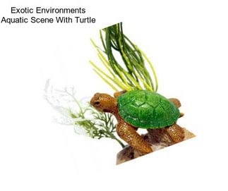 Exotic Environments Aquatic Scene With Turtle