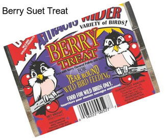 Berry Suet Treat