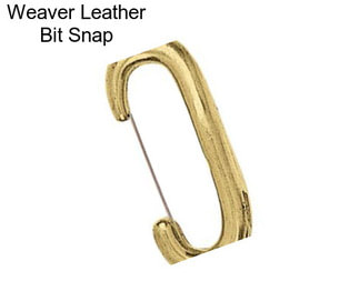 Weaver Leather Bit Snap