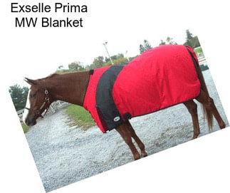 Exselle Prima MW Blanket