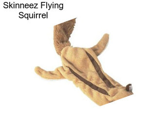 Skinneez Flying Squirrel