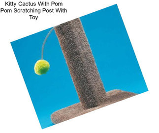 Kitty Cactus With Pom Pom Scratching Post With Toy