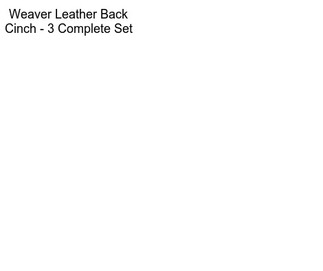 Weaver Leather Back Cinch - 3\