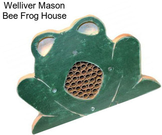 Welliver Mason Bee Frog House