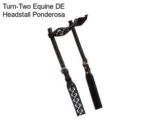 Turn-Two Equine DE Headstall Ponderosa