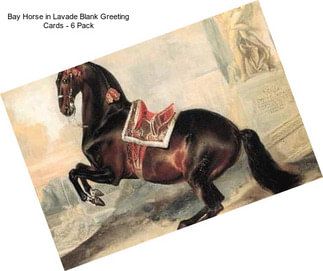 Bay Horse in Lavade Blank Greeting Cards - 6 Pack