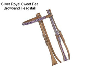 Silver Royal Sweet Pea Browband Headstall