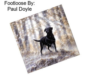 Footloose By: Paul Doyle