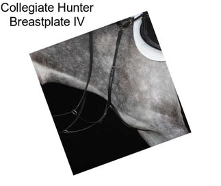 Collegiate Hunter Breastplate IV