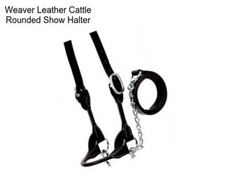 Weaver Leather Cattle Rounded Show Halter