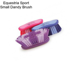 Equestria Sport Small Dandy Brush