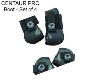 CENTAUR PRO Boot - Set of 4