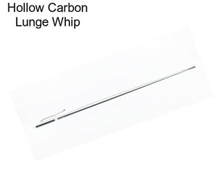 Hollow Carbon Lunge Whip