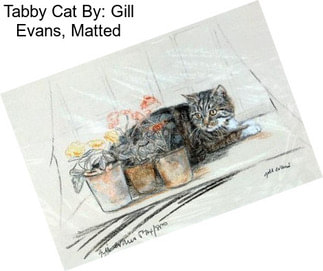 Tabby Cat By: Gill Evans, Matted