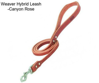 Weaver Hybrid Leash -Canyon Rose