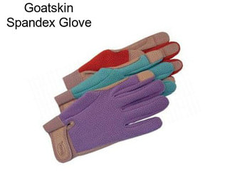 Goatskin Spandex Glove