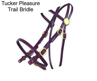 Tucker Pleasure Trail Bridle