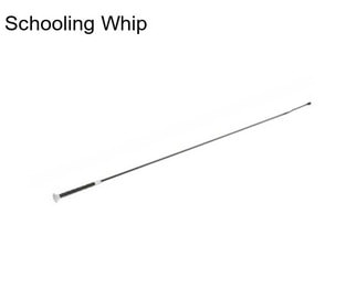 Schooling Whip