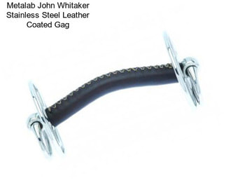 Metalab John Whitaker Stainless Steel Leather Coated Gag