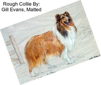 Rough Collie By: Gill Evans, Matted