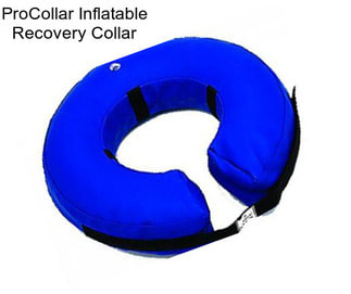 ProCollar Inflatable Recovery Collar